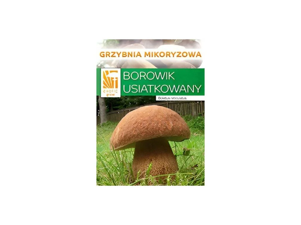 autodily-na-skodu-2202607012240041033622