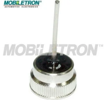 elancar-520260630172943483154