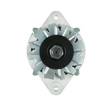 elancar-520260630195815539156