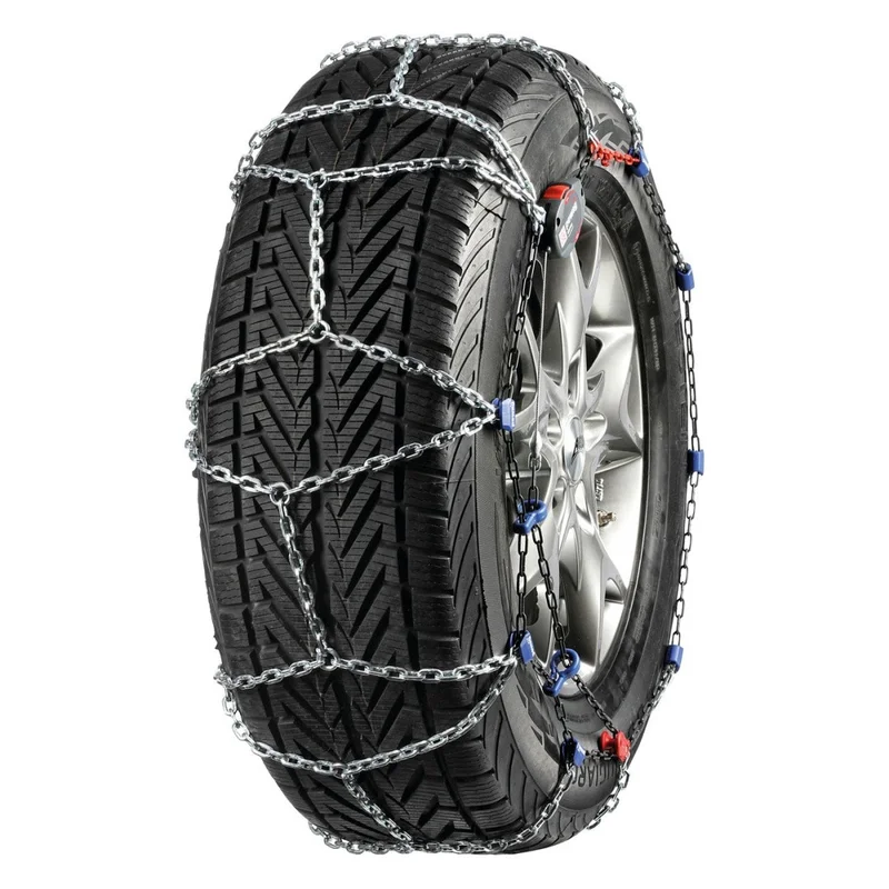 motora-320260630231108608808
