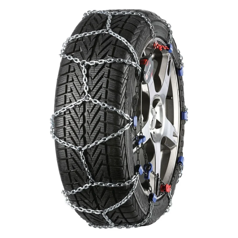 motora-320260630231111608825