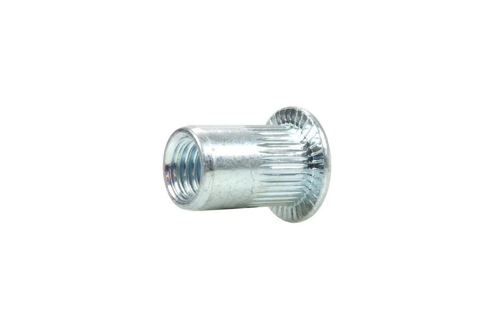 motora-320260701004240643441