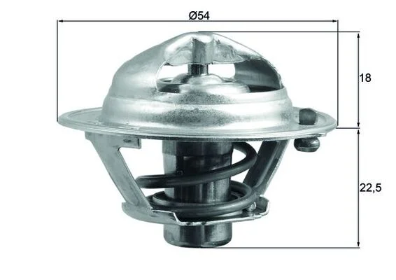 motora-520260630183524509468