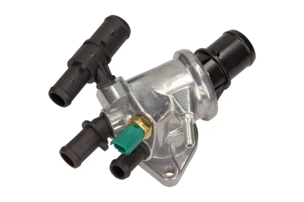 motora-520260630223921597031
