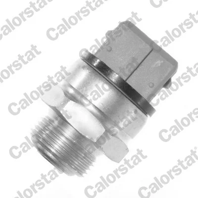 motora-520260630230618607032