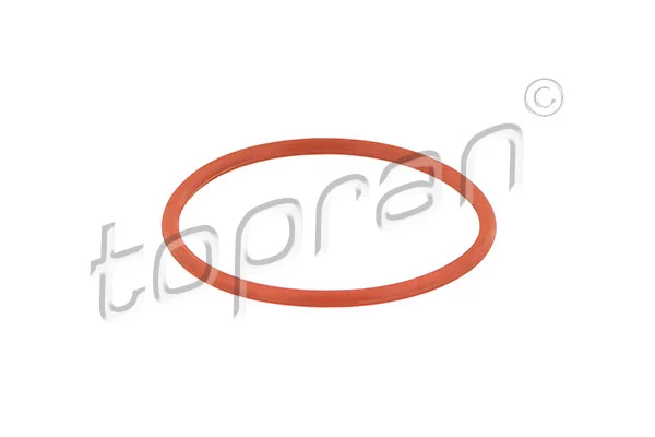 motora-520260701004048642840