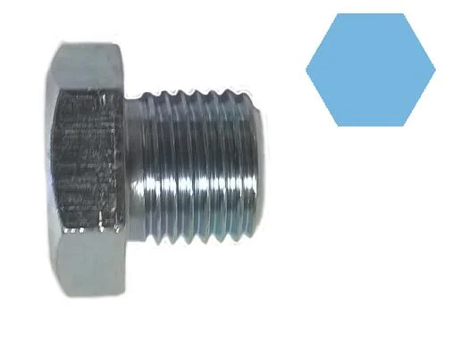motora-520260701032752701344