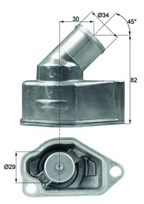 motora-520260701041028720226