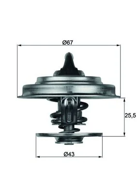 motora-520260701042814727858