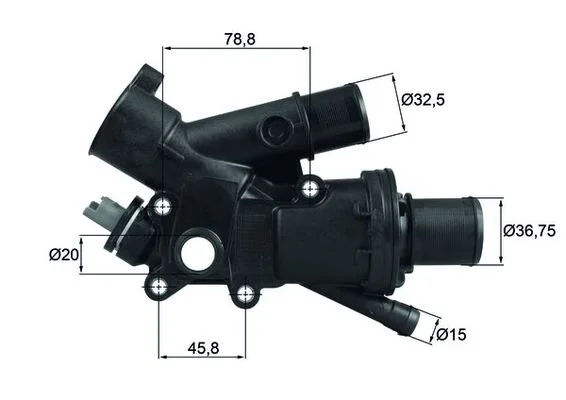 motora-520260701051154745318