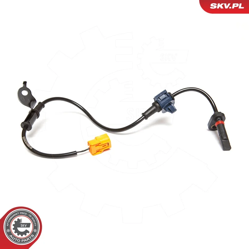 motora-620260701022820680654