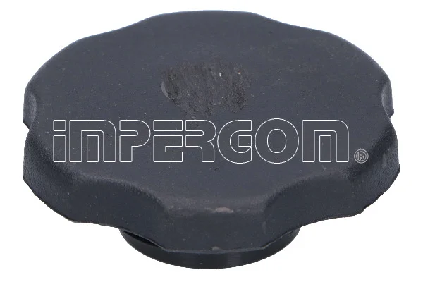 motora-620260701052553750796